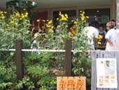IMG_5484.jpg