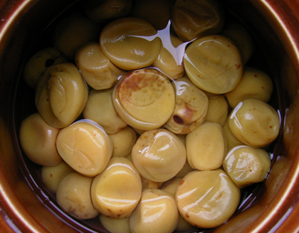 ume4.jpg